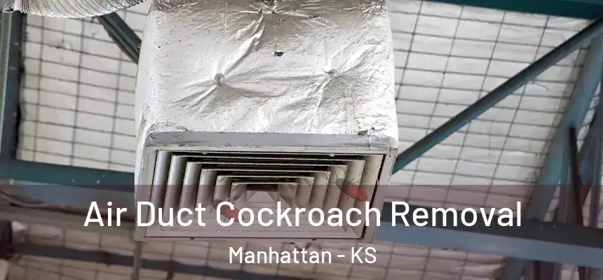 Air Duct Cockroach Removal Manhattan - KS