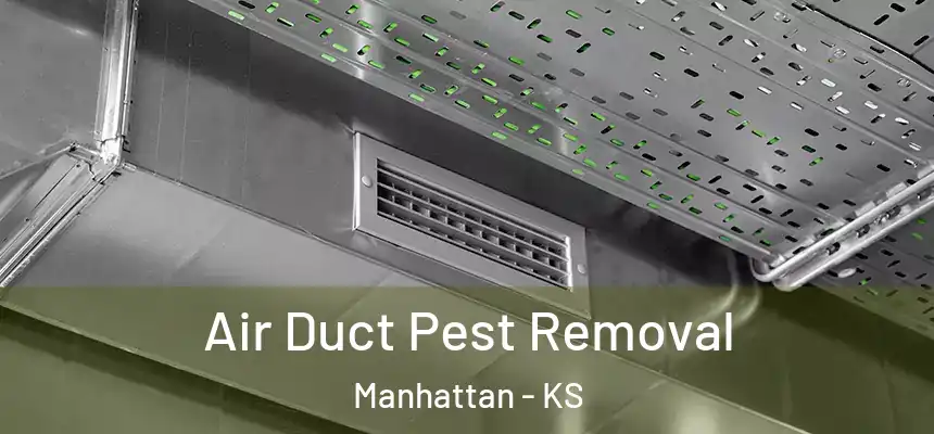  Air Duct Pest Removal Manhattan - KS