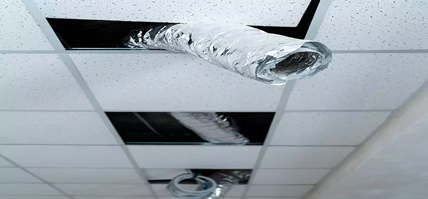 Affordable HVAC Sanitizing After Pest Removal in Manhattan