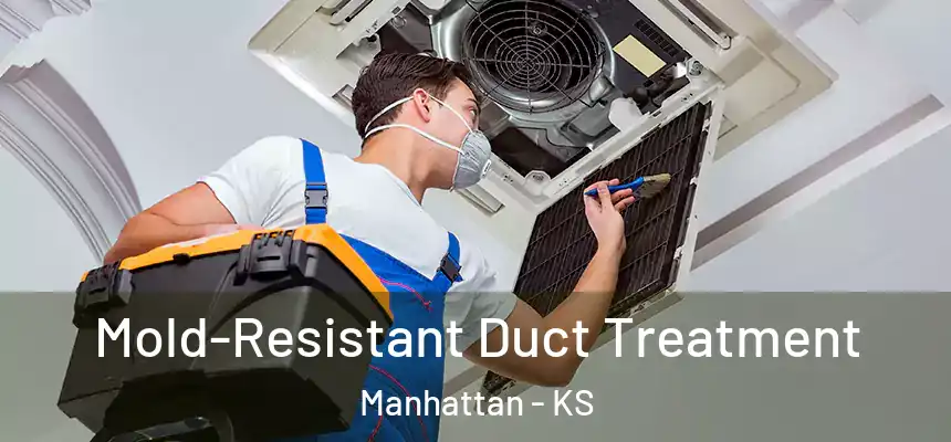  Mold-Resistant Duct Treatment Manhattan - KS