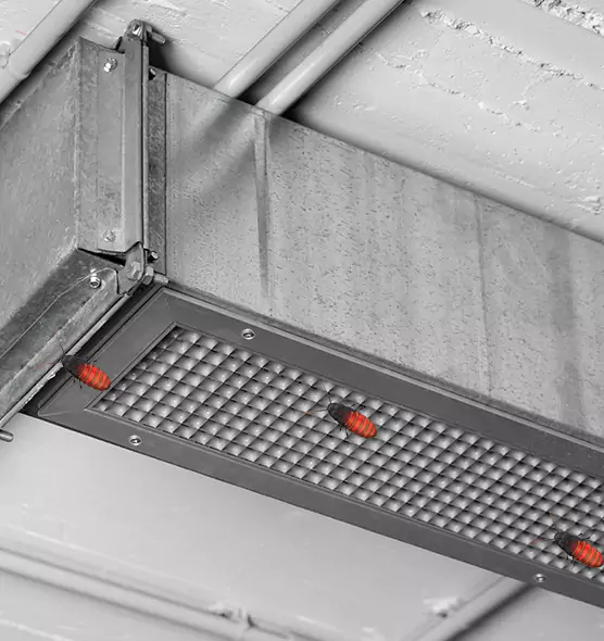 Affordable Insect Removal from Air Ducts in Manhattan, KS