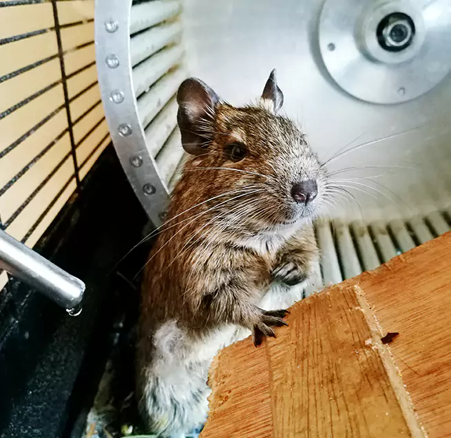 Why Homeowners & Businesses Trust Us Manhattan, KS?